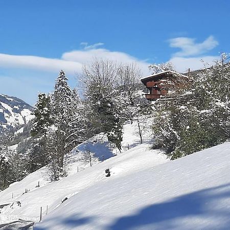 Alpine Cottage With Exceptional View Mayrhofen Dış mekan fotoğraf